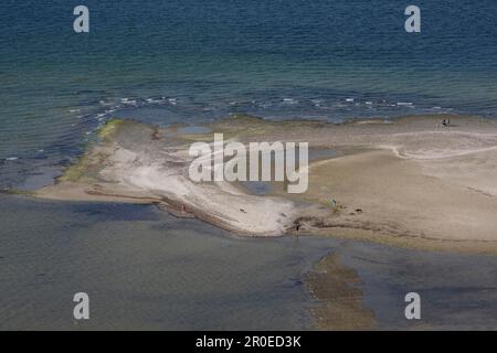 Plage, fjord de Kiel près de Laboe, Schleswig-Holstein, fjord de Kiel, Allemagne Banque D'Images