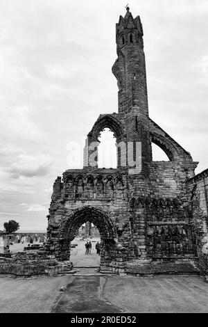 Touristes en face de la cathédrale en ruines, la cathédrale St Andrews, monochrome, St Andrews, Fife, Écosse, Royaume-Uni Banque D'Images