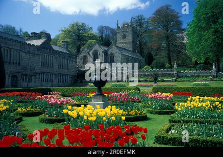 Fleurs dans le jardin en face de Lanhydrock House, Cornouailles, Angleterre, Grande-Bretagne, Europe Banque D'Images