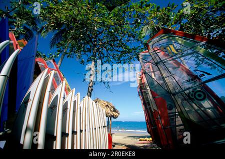 Surf Boards, Beach, Line, Boards alignés dans une école de surf sur la plage de Cabarete, République Dominicaine Banque D'Images
