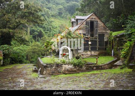 Maison avec jardin dans une plantation de café, la Griveliere, Kaffee Plantage, Maison de café, Vieux-habitants, Caraïbes, Amérique Banque D'Images