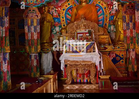 Statue de Bouddha, Monastère Matho, Ladakh, Jammu-et-Cachemire, Inde Banque D'Images