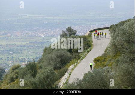 Personnes sur un tour en vélo à partir de la descente de puig randa, Majorque, Iles Baléares, Espagne Banque D'Images