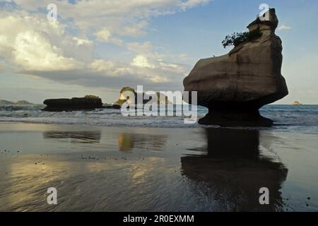 Formation de roches sur la plage au coucher du soleil, Cathedral Cove, péninsule de Coromandel, Île du Nord, Nouvelle-Zélande, Océanie Banque D'Images