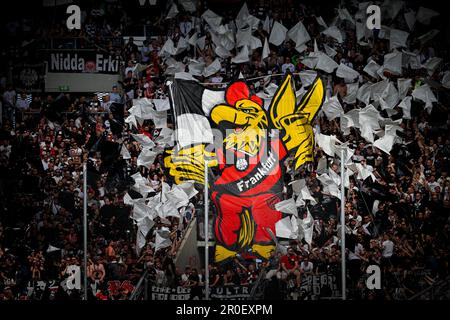 Chorégraphie avec la mascotte Attila, aigle de l'Eintracht Frankfurt SGE, bloc ventilateur, PreZero Arena, Sinsheim, Bade-Wurtemberg, Allemagne Banque D'Images