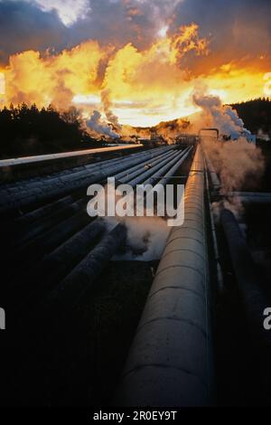 Centrale géothermique de Wairakei, pipelines et vapeur au coucher du soleil, près de Taupo, Île du Nord, Nouvelle-Zélande Banque D'Images