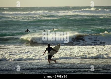 Surfer avec planche de surf, surfer sur la côte ouest, près d'Auckland, Île du Nord, Nouvelle-Zélande Banque D'Images