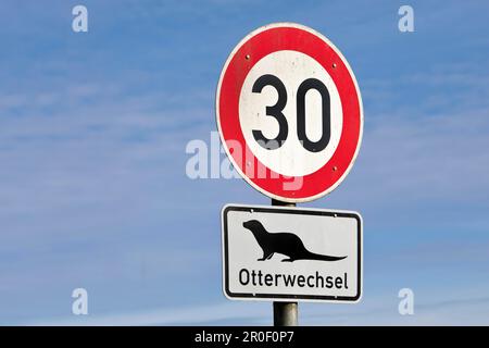 Limite de vitesse 30 signalisation routière et changement de loutre, Ratzeburg, Schleswig-Holstein, Allemagne Banque D'Images