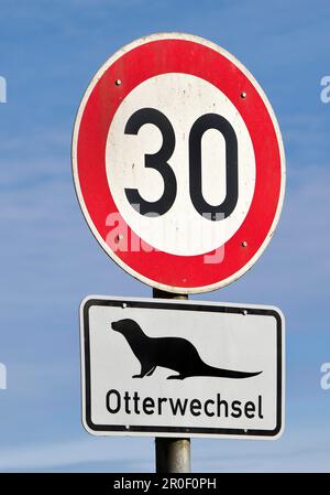 Limite de vitesse 30 signalisation routière et changement de loutre, Ratzeburg, Schleswig-Holstein, Allemagne Banque D'Images