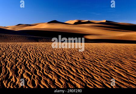 Paysage, Grand Erg Occidental, Algerien, Sahara, Grand Erg Occidental, Landschaft Wueste, Sandduenen, Duenen, Afrika Banque D'Images