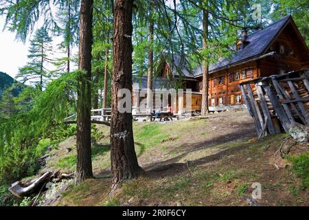 Maison en rondins dans une forêt de mélèze. Cluozza Hut, Cluozza Valley, Val Cluozza, Parc National Suisse, Engadin, Graubuenden, Grisons, Suisse, Alpes Banque D'Images