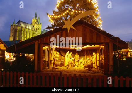 Scène de la Nativité au marché de Noël, place de la cathédrale dans la soirée, Erfurt, Thuringe, Allemagne Banque D'Images