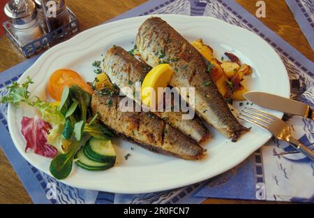 Spécialité de poisson sur une assiette, pommes de terre en hareng et rôti, Île de Rugen, Mecklenburg-Pomerania, Allemagne, Europe Banque D'Images