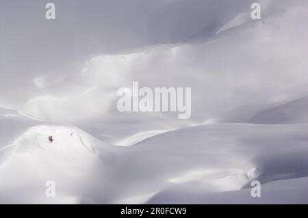 Un homme, freerider ski dans un paysage d'hiver, Krippenstein, Obertraun, Dachstein, haute-Autriche, Autriche Banque D'Images