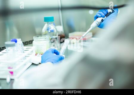 milieux de culture cellulaire Banque D'Images