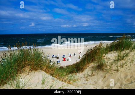 Vue sur la plage avec chaises à bech, Ile de Sylt, Schleswig-Holstein, Allemagne Banque D'Images