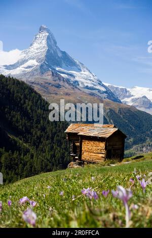 Une maison solitaire en bois sur le flanc de montagne, Findeln, Matterhorn 4478 m, en arrière-plan, Zermatt, Valais, Suisse Banque D'Images