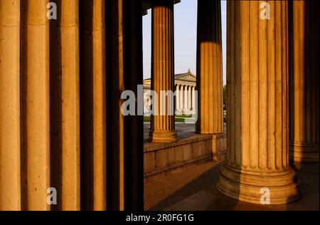 Vue à travers les colonnes de la Propylaea à Glyptothek, place du Roi, Munich, Bavière, Allemagne Banque D'Images
