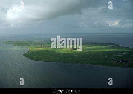 Photo aérienne de l'île frisonne du Nord Hallig Hooge dans la Mer du Nord, Etat fédéral du Schleswig-Holstein, Allemagne du Nord Banque D'Images