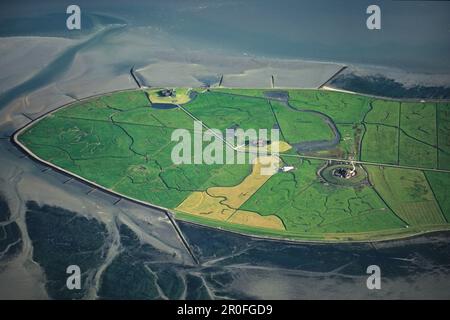 Photo aérienne de l'île frisonne du Nord Hallig Hooge dans la Mer du Nord, Etat fédéral du Schleswig-Holstein, Allemagne du Nord Banque D'Images