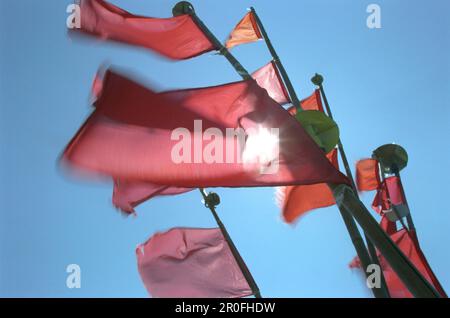 Drapeaux rouges, mer Baltique, Darß, Mecklembourg-Poméranie occidentale, Allemagne Banque D'Images