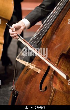 Homme jouant de contrabass, Orchestre symphonique de Munich, Prinzregentheater, Munich, Bavière, Allemagne Banque D'Images