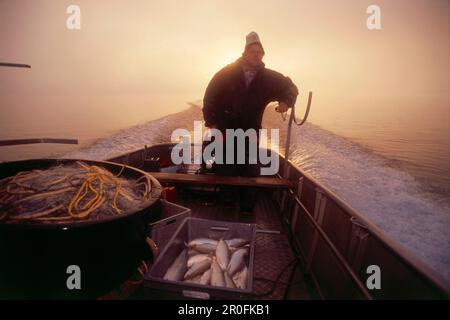 Pêcheur sur le lac Misty Chiem le matin, île Frauenchiemsee, Chiemgau, haute-Bavière, Allemagne Banque D'Images