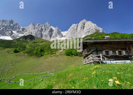 Cabane alpine avec la gamme Wilder Kaiser en arrière-plan, gamme Kaiser, Tyrol, Autriche Banque D'Images