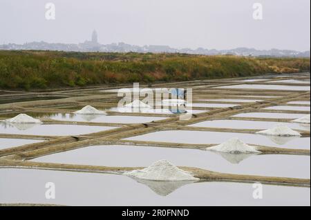 Salins marais salants de Guérande, département Loire-Atlantique, France, Europe Banque D'Images