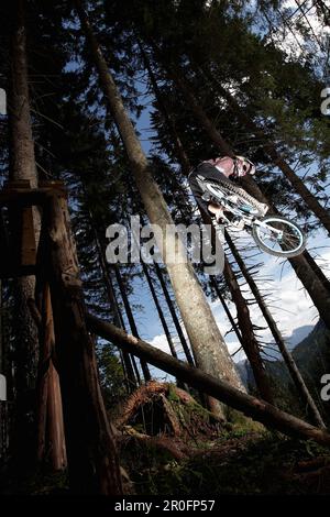 Vélo de montagne sautant dans une forêt, Oberammergau, Bavière, Allemagne Banque D'Images