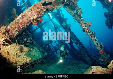 Plongée sous-marine sur l'épave de l'Ombrie, Soudan, Afrique, Mer Rouge, Wingate Reef Banque D'Images