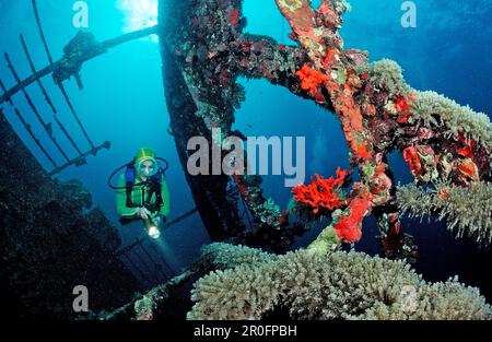 Plongée sous-marine sur l'épave de l'Ombrie, Soudan, Afrique, Mer Rouge, Wingate Reef Banque D'Images