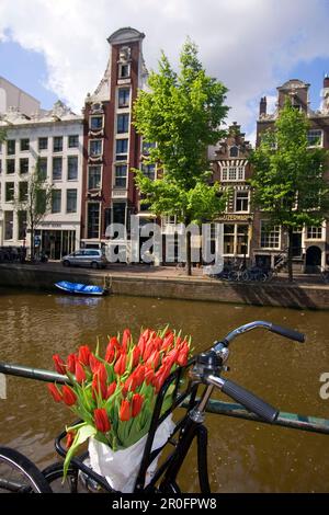 Amsterdam seul Gracht location avec des tulipes Banque D'Images