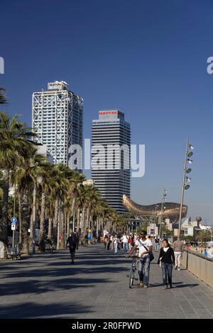 Barcelone,plage,Platja de la Barceloneta,Hôtels Arts,Sculpture de,Frank Gehry Banque D'Images