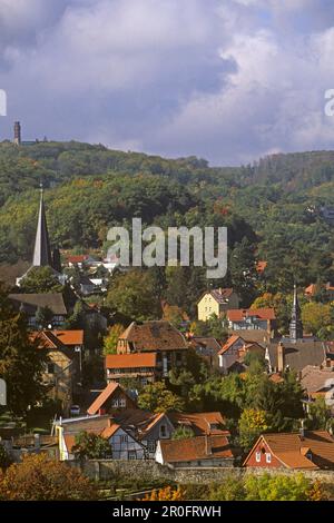 Vue sur les toits des maisons anciennes à Blankenburg, dans les montagnes du Harz, en Saxe Anhalt, en Allemagne Banque D'Images