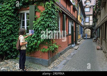 Maisons à colombages dans la vieille ville, Quedlinburg, Saxe Anhalt, Allemagne Banque D'Images