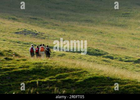 Groupe de randonneurs traversant des pâturages alpins, Val Trupchun, Parc national suisse, Engadin, Grisons, Suisse Banque D'Images