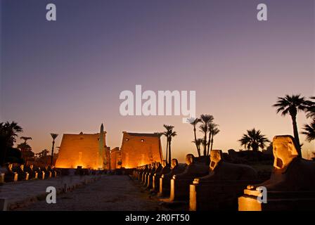 Sphinx et obélisque en avant du premier pylône du temple de Louxor, éclairé au crépuscule, l'Égypte, l'Afrique Banque D'Images