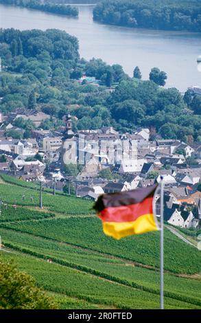 Vue sur Rudesheim, Rheingau, Hesse, Allemagne Banque D'Images