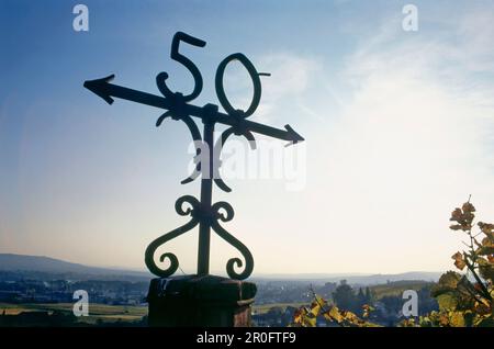 Enseigne dans le domaine viticole Château de Johannisberg, Geisenheim, Rheingau, Hesse, Allemagne Banque D'Images