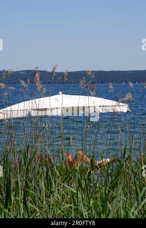 Personne sous un parasol au bord du lac, lac Starnberg, Kustermannpark, Tutzing, Bavière, Allemagne Banque D'Images