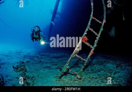 Plongée sous-marine sur l'épave du Hilma Hooker Ship, Antilles néerlandaises, Bonaire, Mer des Caraïbes Banque D'Images