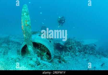 Nakajima B5N2 Kate Torpedo Bomber et Scuba Diver, Papouasie-Nouvelle-Guinée, Neu-Irland, Kavieng Banque D'Images