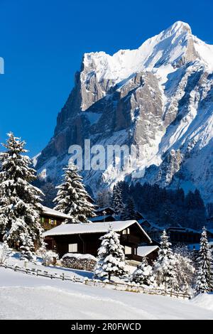 Refuges de montagne en face du Wetterhorn, Grindelwald, Oberland Bernois, Canton de Berne, Suisse Banque D'Images