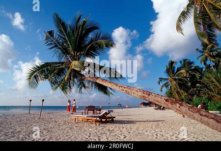 Plage sur l'île des Maldives, Maldives, Océan Indien, Medhufushi, Atoll de Meemu Banque D'Images