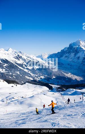 Skieurs sur pente, Maennlichen, Grindelwald, Oberland Bernois, Canton de Berne, Suisse Banque D'Images