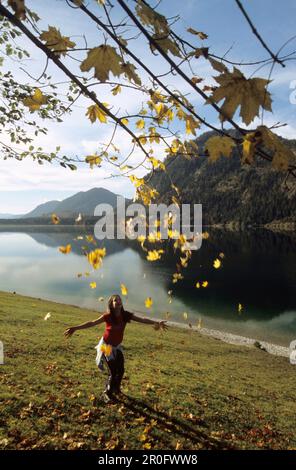 Adolescente jetant le feuillage d'automne dans l'air, lac Sylvensteinspeicher, Bavière, Allemagne Banque D'Images