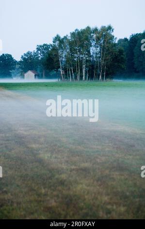 Brouillard sur la vallée d'Isar, Wolfratshausen, Bavière, Allemagne Banque D'Images