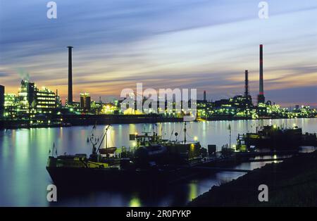 Vue de nuit sur le Rhin jusqu'au site de BASF, Ludwigshafen, Rhénanie-Palatinat, Allemagne Banque D'Images