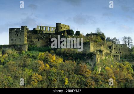 Château du Rheinfels, Sankt Goar, Rhénanie-Palatinat, Allemagne Banque D'Images